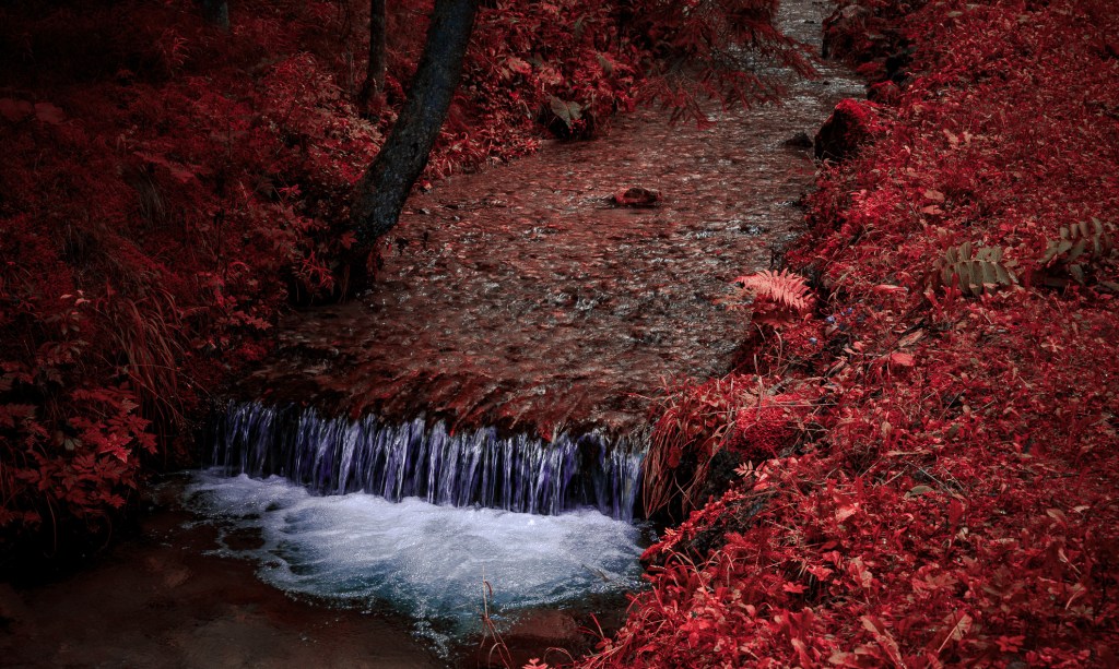 The Renewable Business