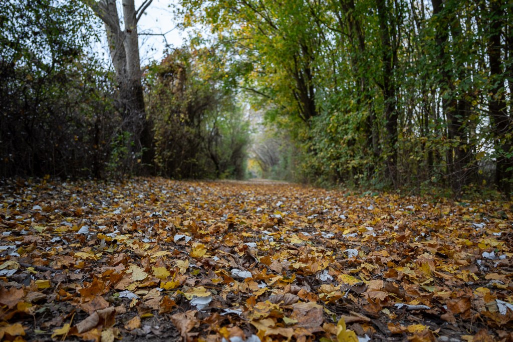 Time To Slow&nbsp;Down