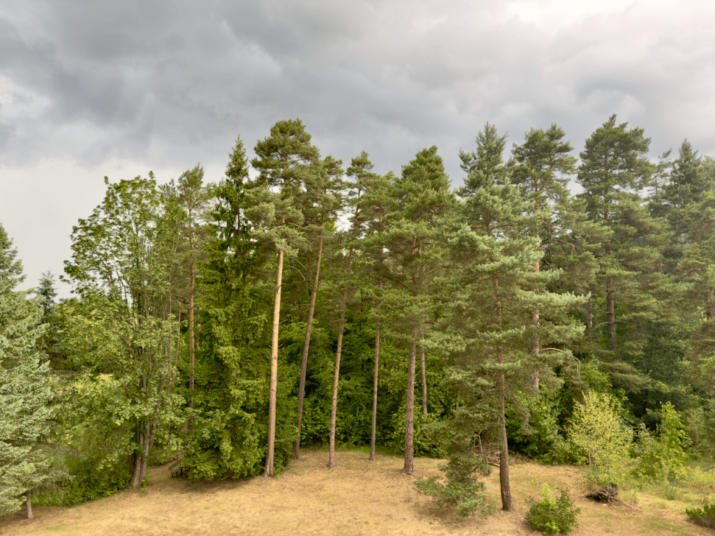 The New and The&nbsp;Old